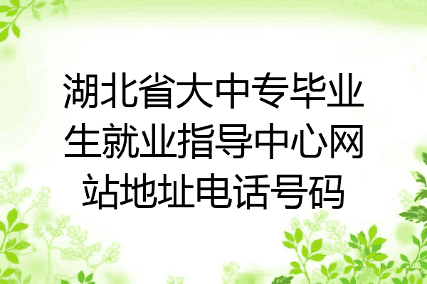 湖北省大中专毕业生就业指导中心网站地址电话号码