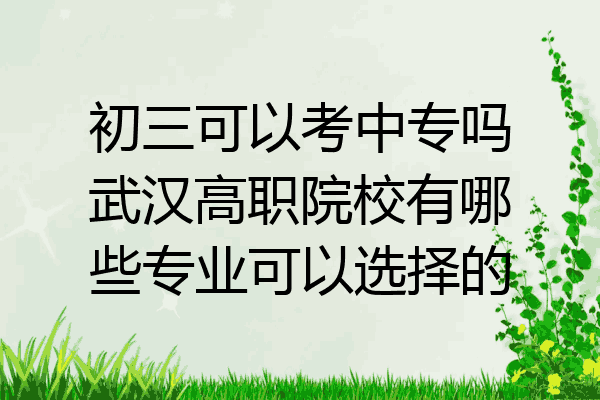 初三可以考中专吗武汉高职院校有哪些专业可以选择的