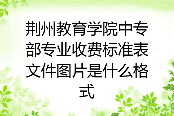 荆州教育学院中专部专业收费标准表文件图片是什么格式