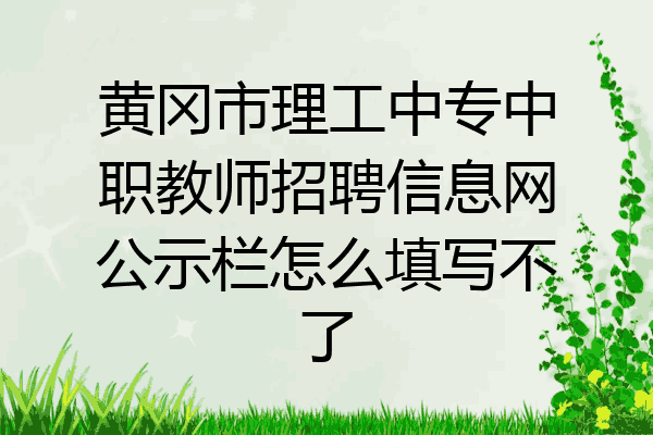 黄冈市理工中专中职教师招聘信息网公示栏怎么填写不了