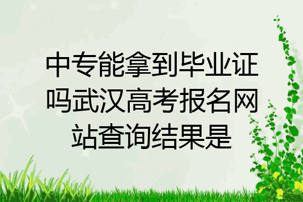 中专能拿到毕业证吗武汉高考报名网站查询结果是