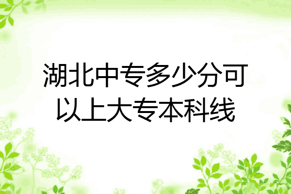 湖北中专多少分可以上大专本科线