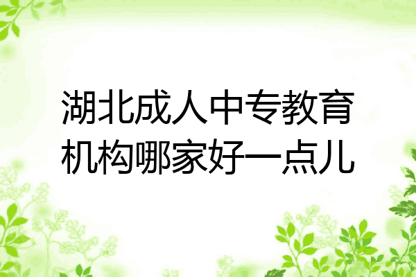 湖北成人中专教育机构哪家好一点儿