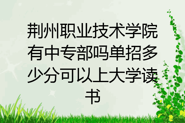 荆州职业技术学院有中专部吗单招多少分可以上大学读书