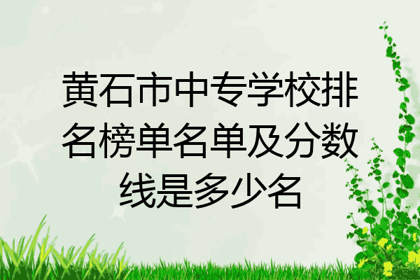 黄石市中专学校排名榜单名单及分数线是多少名