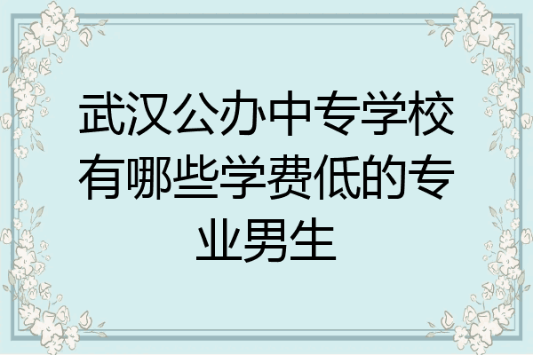 武汉公办中专学校有哪些学费低的专业男生