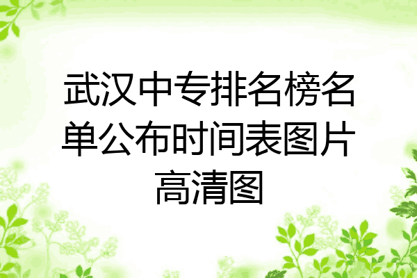 武汉中专排名榜名单公布时间表图片高清图