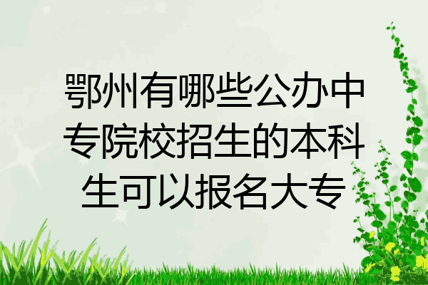 鄂州有哪些公办中专院校招生的本科生可以报名大专