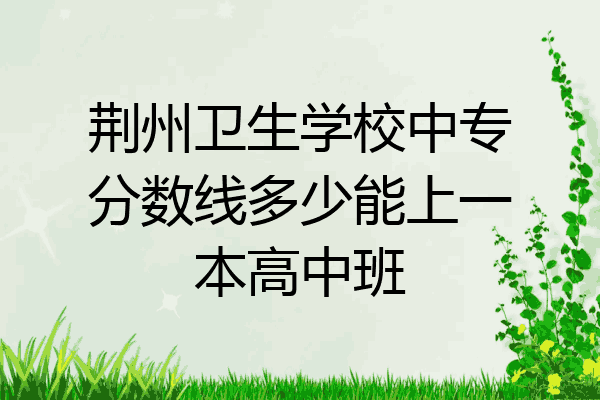 荆州卫生学校中专分数线多少能上一本高中班