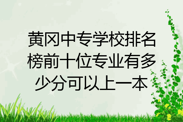 黄冈中专学校排名榜前十位专业有多少分可以上一本