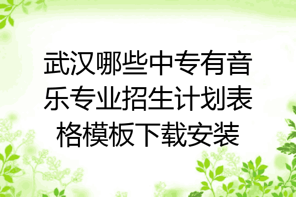 武汉哪些中专有音乐专业招生计划表格模板下载安装