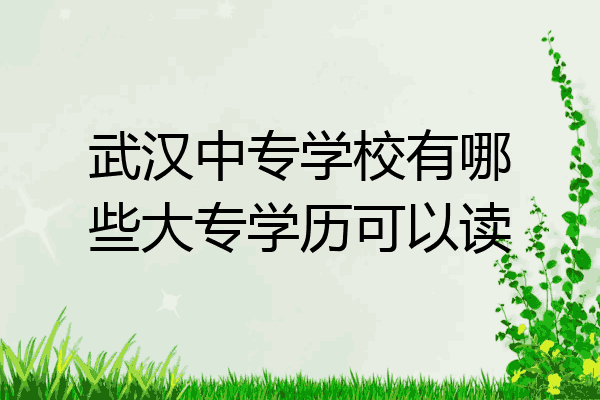 武汉中专学校有哪些大专学历可以读