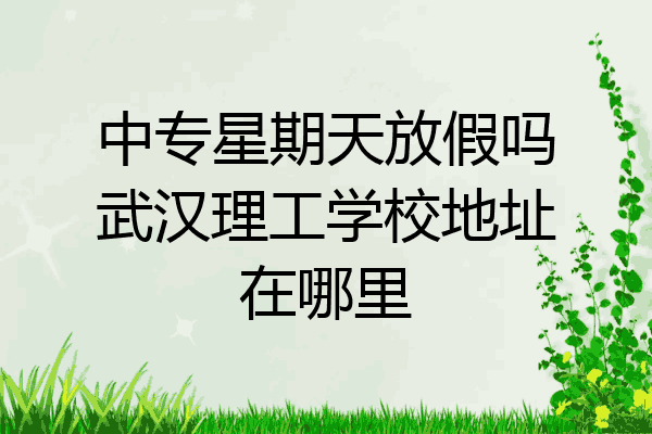中专星期天放假吗武汉理工学校地址在哪里