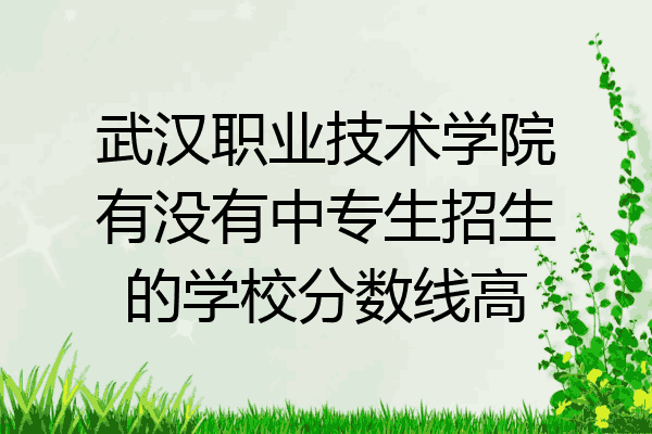 武汉职业技术学院有没有中专生招生的学校分数线高