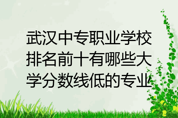 武汉中专职业学校排名前十有哪些大学分数线低的专业
