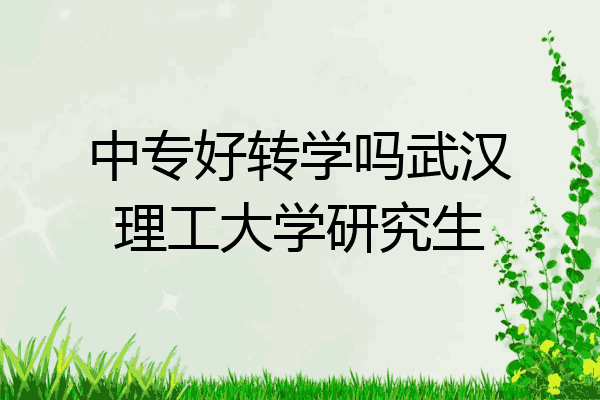 中专好转学吗武汉理工大学研究生