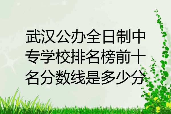 武汉公办全日制中专学校排名榜前十名分数线是多少分