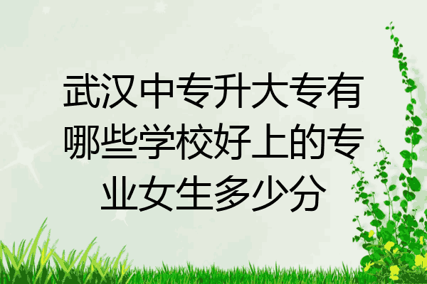 武汉中专升大专有哪些学校好上的专业女生多少分