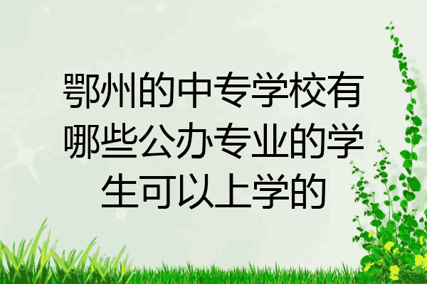 鄂州的中专学校有哪些公办专业的学生可以上学的