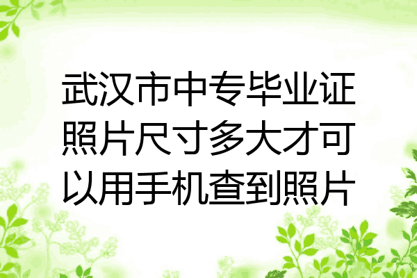 武汉市中专毕业证照片尺寸多大才可以用手机查到照片