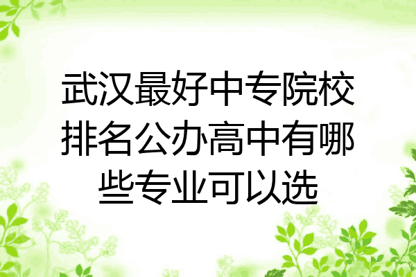 武汉最好中专院校排名公办高中有哪些专业可以选