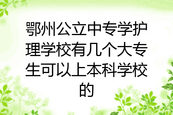 鄂州公立中专学护理学校有几个大专生可以上本科学校的