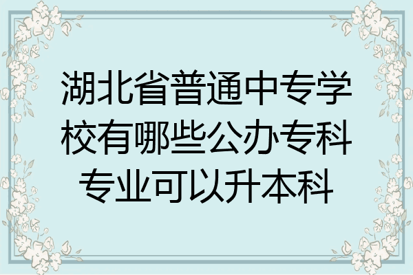 湖北省普通中专学校有哪些公办专科专业可以升本科