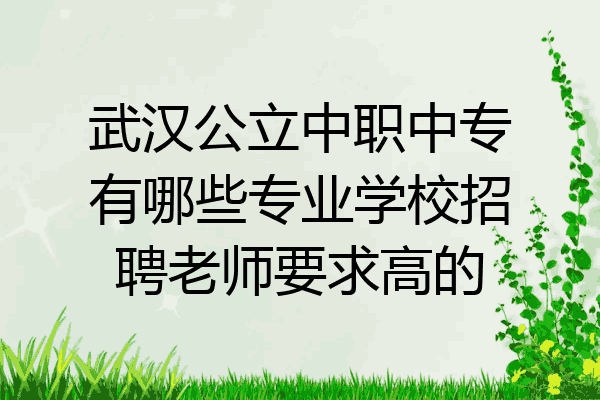 武汉公立中职中专有哪些专业学校招聘老师要求高的