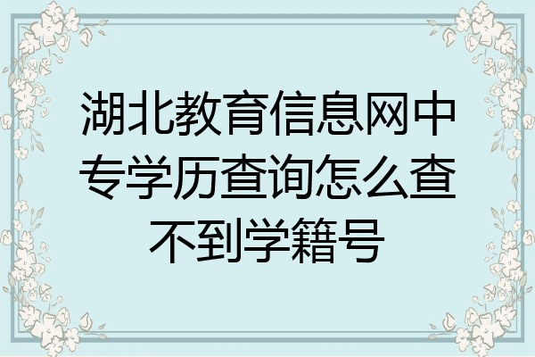 湖北教育信息网中专学历查询怎么查不到学籍号