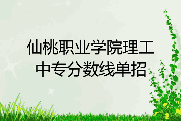仙桃职业学院理工中专分数线单招