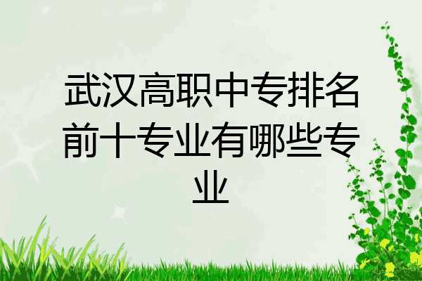 武汉高职中专排名前十专业有哪些专业