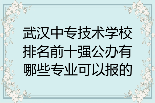 武汉中专技术学校排名前十强公办有哪些专业可以报的