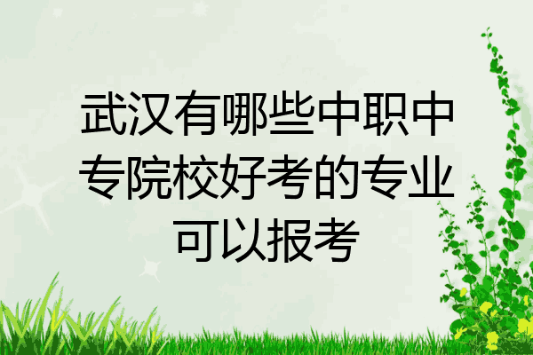 武汉有哪些中职中专院校好考的专业可以报考