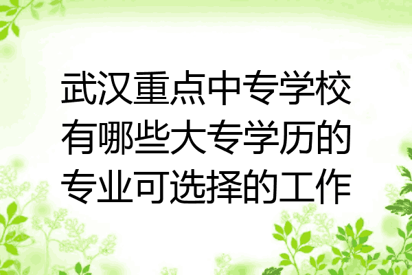 武汉重点中专学校有哪些大专学历的专业可选择的工作