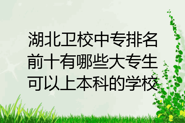 湖北卫校中专排名前十有哪些大专生可以上本科的学校