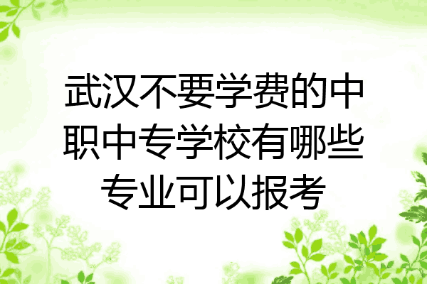 武汉不要学费的中职中专学校有哪些专业可以报考