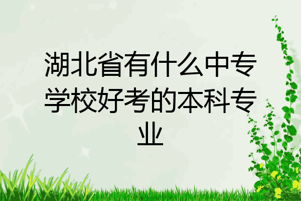 湖北省有什么中专学校好考的本科专业