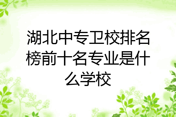 湖北中专卫校排名榜前十名专业是什么学校