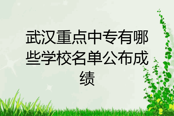 武汉重点中专有哪些学校名单公布成绩