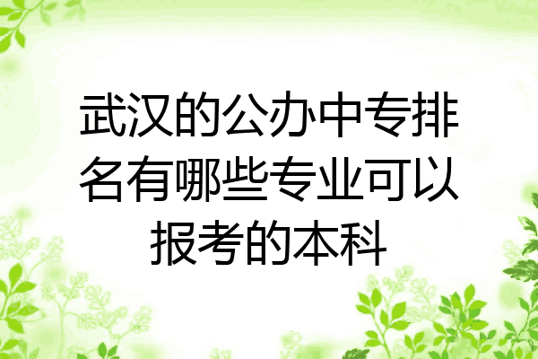 武汉的公办中专排名有哪些专业可以报考的本科
