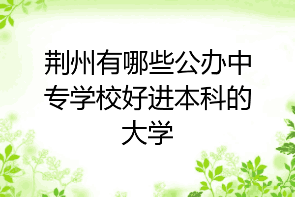 荆州有哪些公办中专学校好进本科的大学