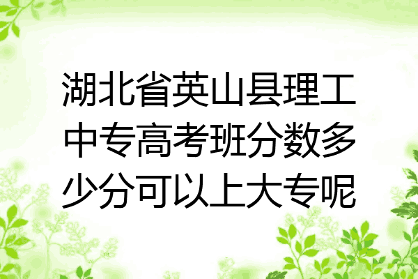 湖北省英山县理工中专高考班分数多少分可以上大专呢
