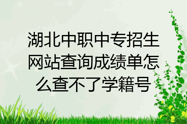 湖北中职中专招生网站查询成绩单怎么查不了学籍号