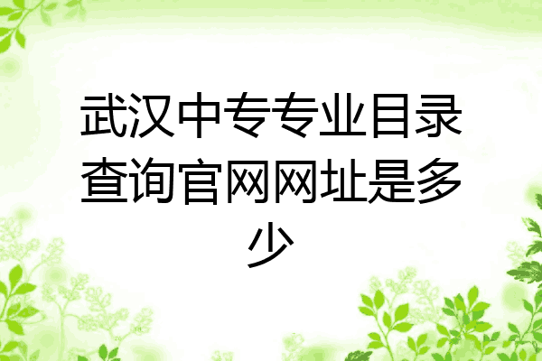 武汉中专专业目录查询官网网址是多少