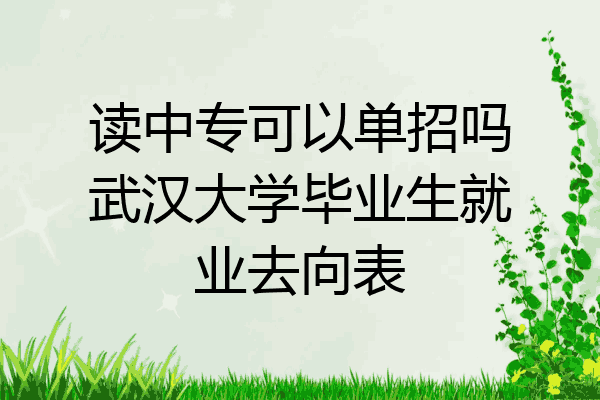 读中专可以单招吗武汉大学毕业生就业去向表