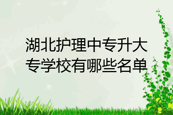 湖北护理中专升大专学校有哪些名单