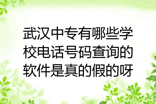 武汉中专有哪些学校电话号码查询的软件是真的假的呀