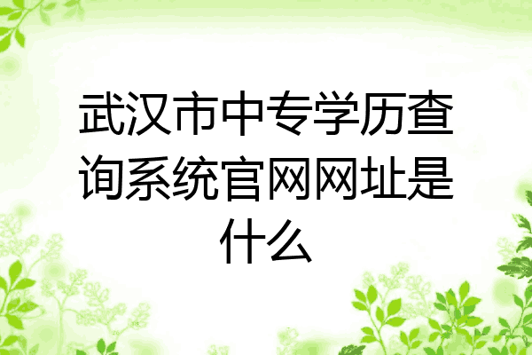 武汉市中专学历查询系统官网网址是什么