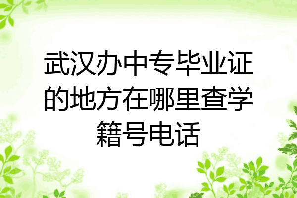 武汉办中专毕业证的地方在哪里查学籍号电话