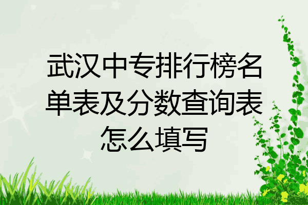 武汉中专排行榜名单表及分数查询表怎么填写